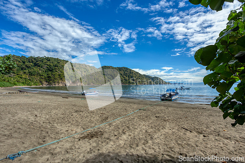 Image of Playa in Curu Wildlife Reserve, Costa Rica wildlife.