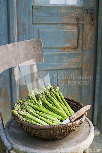 Image of Asparagus