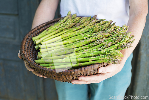 Image of Asparagus