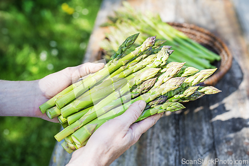 Image of Asparagus