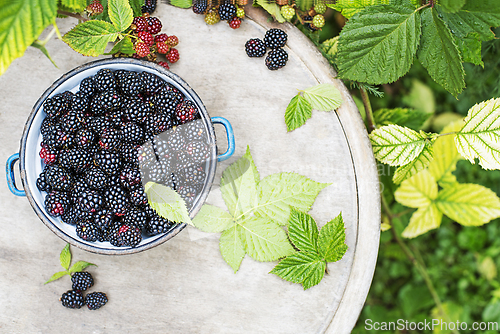 Image of Blackberry