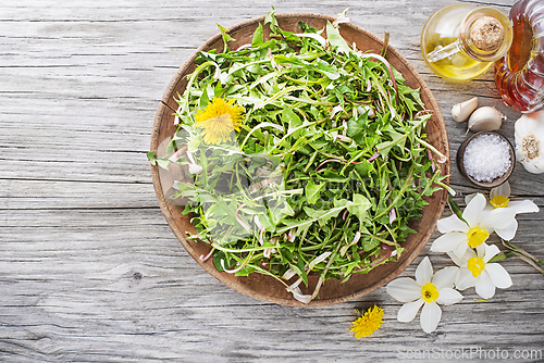 Image of Dandelion