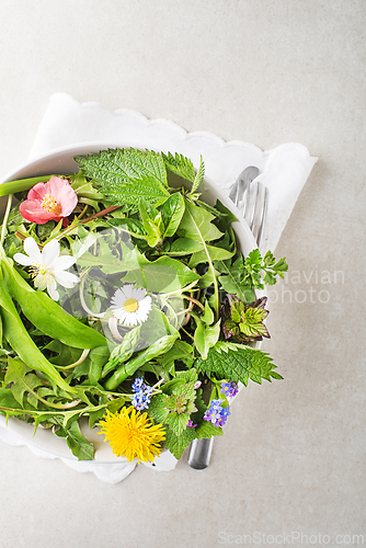 Image of Spring salad plants and herbs