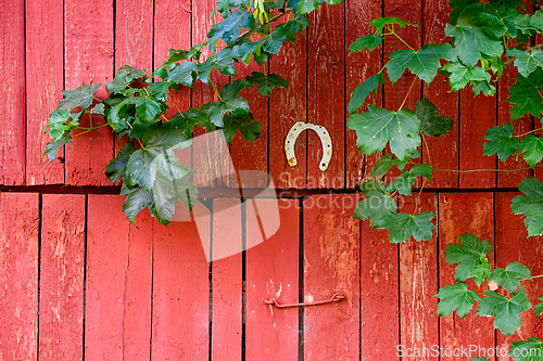 Image of Red barn door adorned with horseshoe and green vines in tranquil