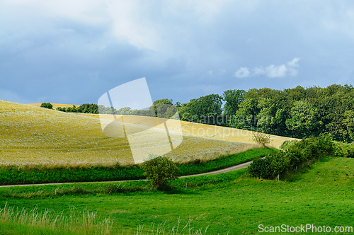 Image of Rolling hills and lush greenery showcase serene countryside land