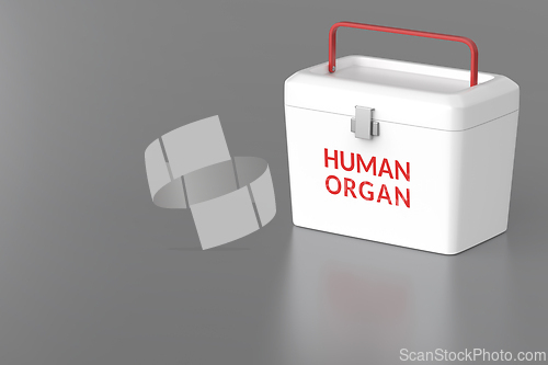 Image of Medical cooler for transporting human donor organs