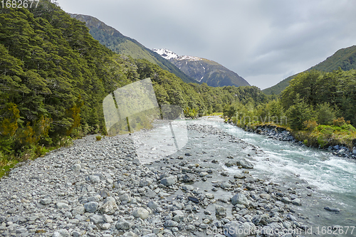 Image of Bealey River in New Zealand