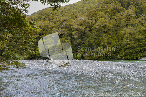 Image of river around Aoraki