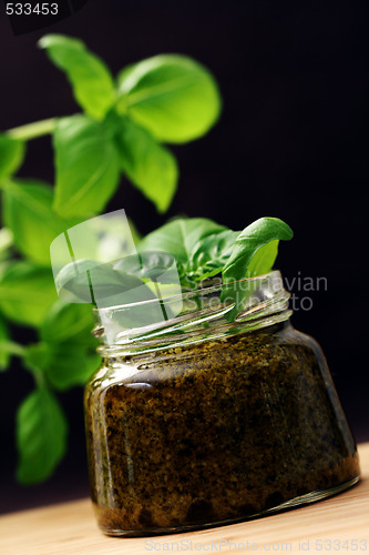Image of pesto