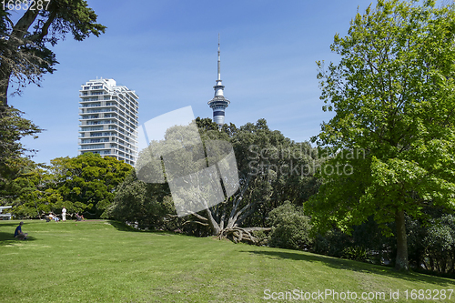 Image of Albert Park in Auckland