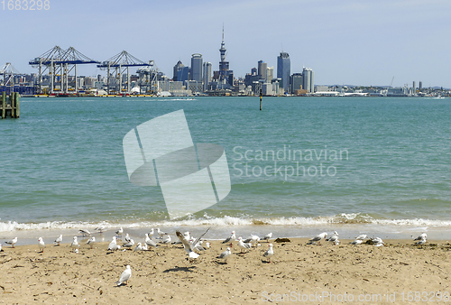 Image of Auckland in New Zealand