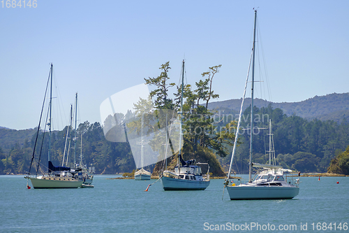 Image of Bay of Islands
