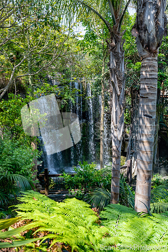 Image of Palma de Mallorca, Aquarium, waterfall surrounded by lush vegetation and palm trees.