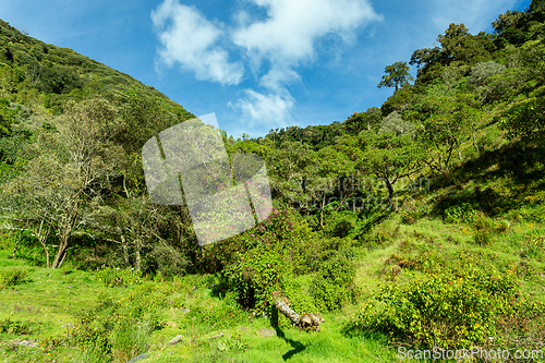 Image of Landscape in San Gerardo de Dota, Los Quetzales National Park Costa Rica.
