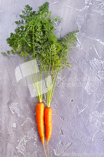 Image of An Image of Carrots on gray table