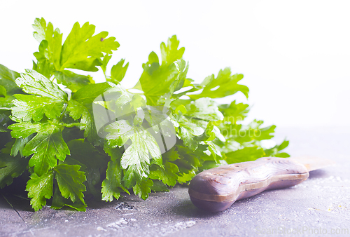 Image of Fresh parsley on the table. Green parsley.