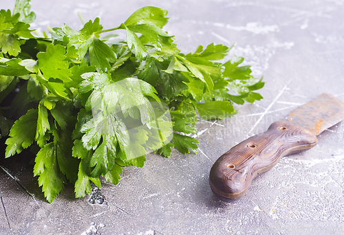 Image of Fresh parsley on the table. Green parsley.