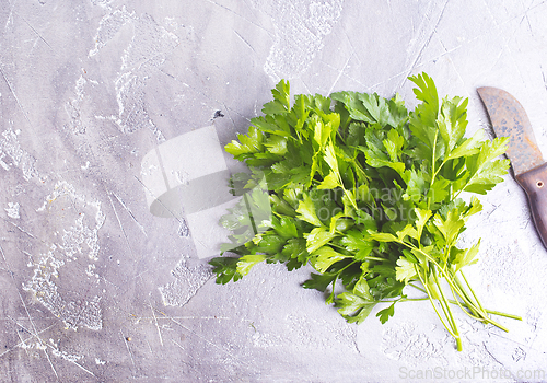 Image of Fresh parsley on the table. Green parsley.