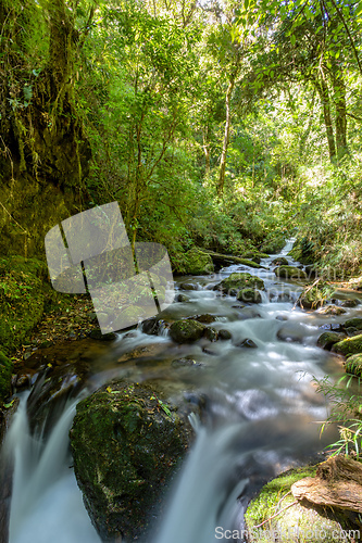Image of Wild mountain river Rio Savegre. San Gerardo de Dota, Costa Rica.