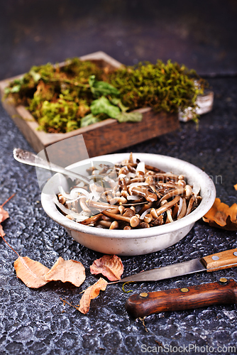 Image of Salad of pickled honey mushrooms,
