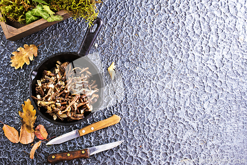 Image of honey mushrooms, fried honey mushrooms in a frying pan