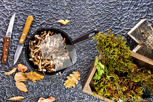 Image of honey mushrooms, fried honey mushrooms in a frying pan