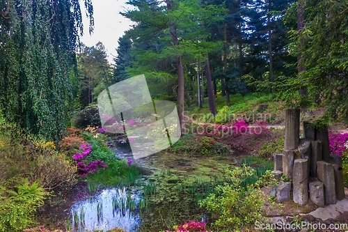 Image of Mysterious garden with flowers and basalt columns in Kromalu, Germany