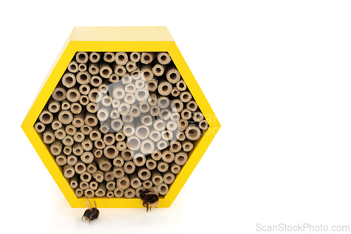 Image of Bee House for Conservation with Honey Bees 