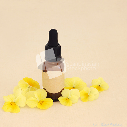 Image of Yellow Pansy Flower Natural Herbal Medicine Essence