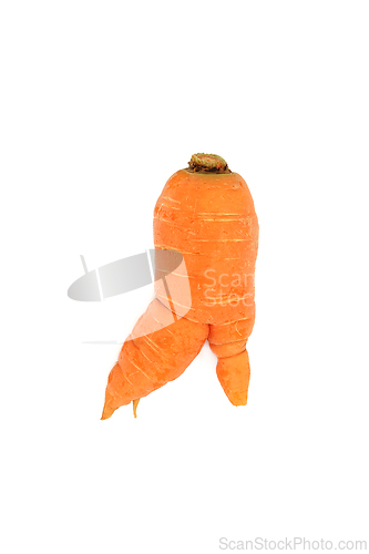 Image of Forked Twisted Carrot Root Vegetable
