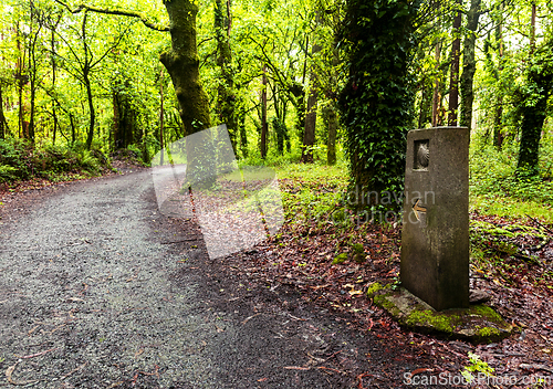 Image of Road sign of Camino de Santiago