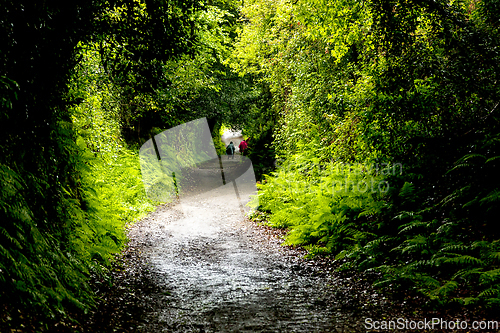Image of Two backpackers on a dirt road