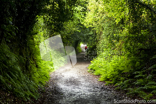 Image of Two backpackers on a dirt road