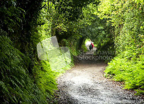 Image of Two backpackers on a dirt road