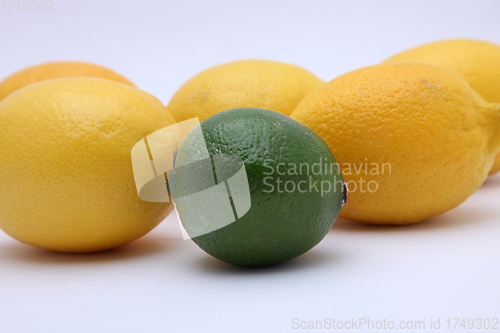 Image of Citruses: lime and lemon