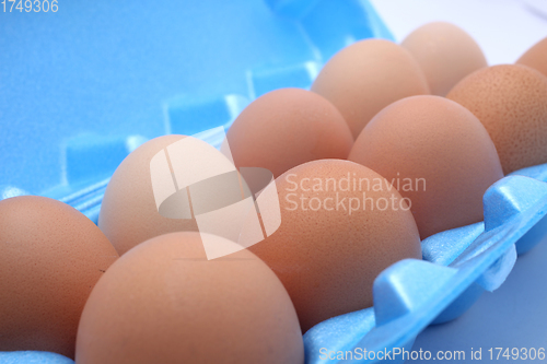 Image of Eggs in the package