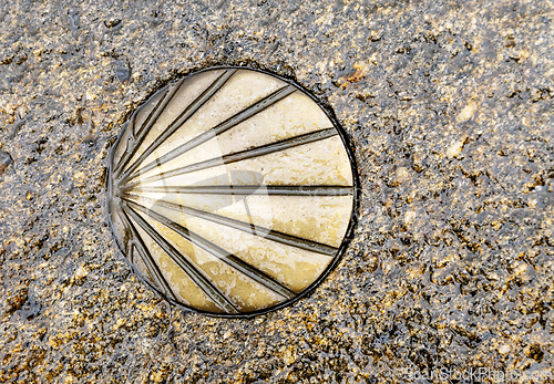 Image of Santiago's shell on the pavement