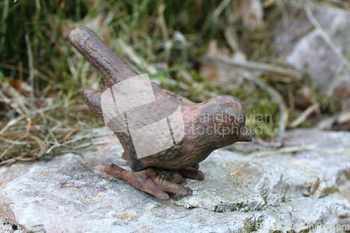 Image of Bird