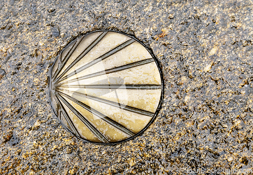 Image of Santiago's shell on the pavement