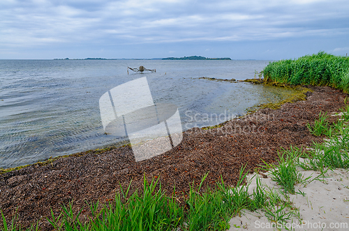 Image of Calm shoreline with gentle waves and a fishing net amid lush gra