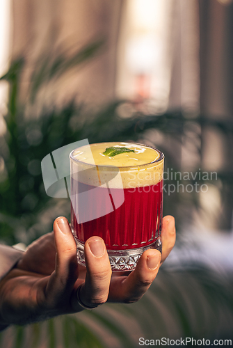 Image of Vibrant layered cocktail
