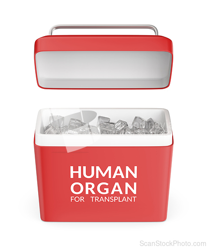 Image of Medical cooler for transporting human donor organs