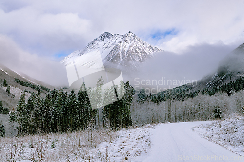 Image of Snow-covered mountain landscape with winding road and evergreen 