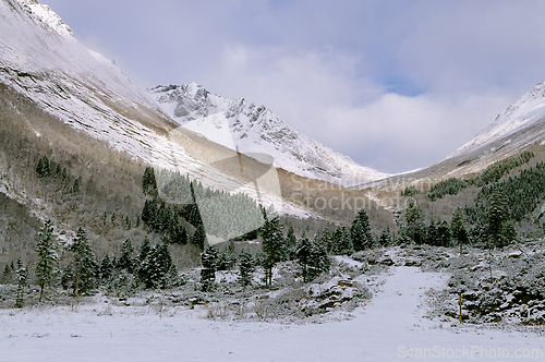 Image of Majestic snow-covered mountains in a serene winter landscape at 
