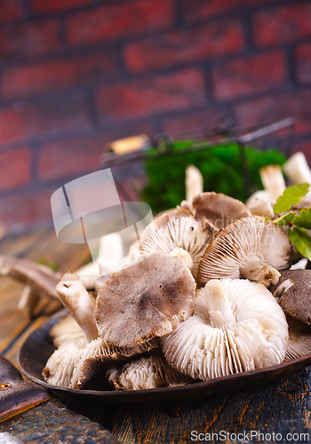 Image of Pile of fresh mushrooms on wooden table