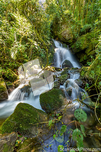Image of Wild mountain river Rio Savegre. San Gerardo de Dota, Costa Rica.