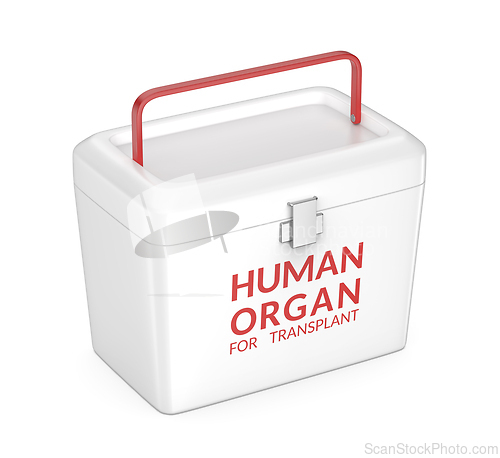 Image of Human organ transport box