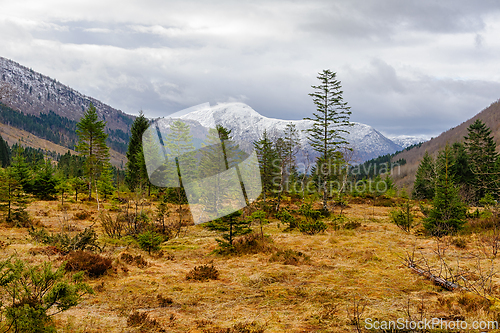 Image of Snow-capped mountain view with lush greenery in a tranquil valle