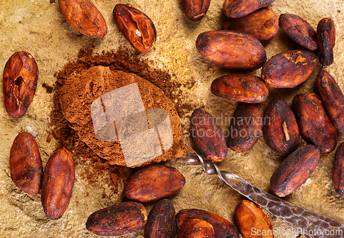 Image of Cocoa powder and cacao beans on stone background