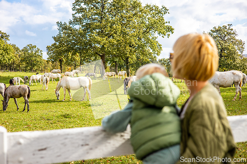 Image of Rear view of woman and child observe horses grazing in a green rural field